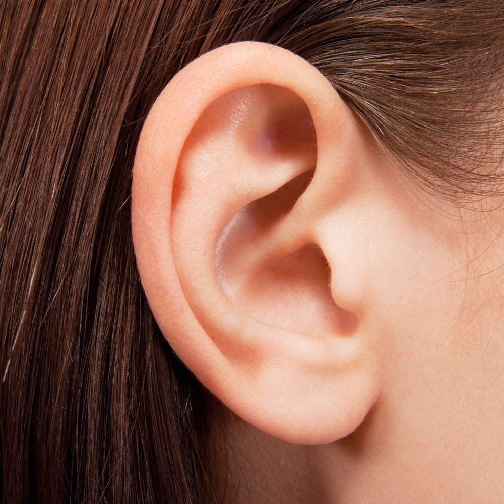 A person's ear, up-close